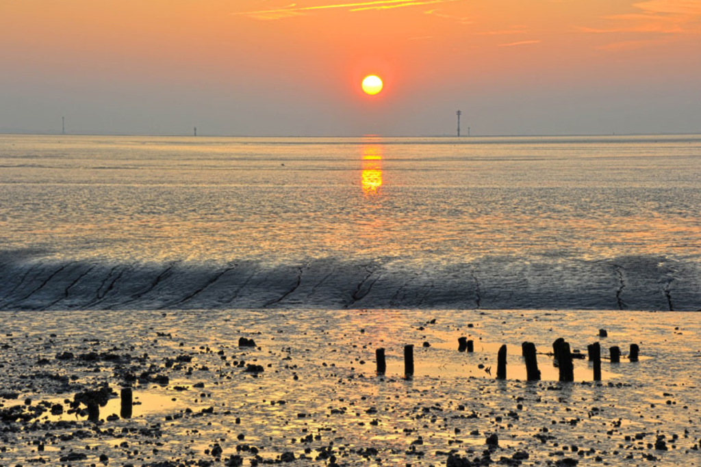 Camping-ved-nordsoen-campingpark-dorum-2