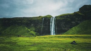 Travel-guides.dk – vilholdt.dk – 13-01-2026